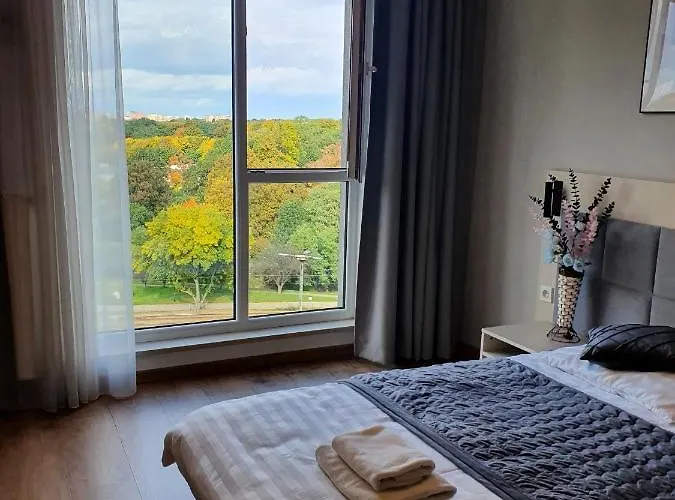 - Luxury Top-view 4*