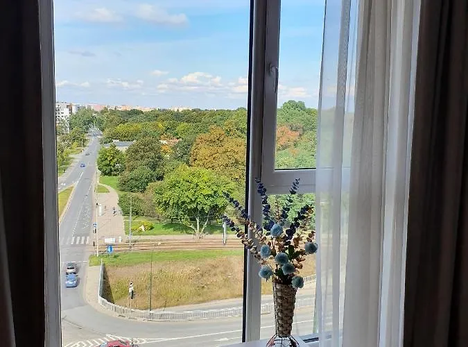 - Luxury Top-view 4*